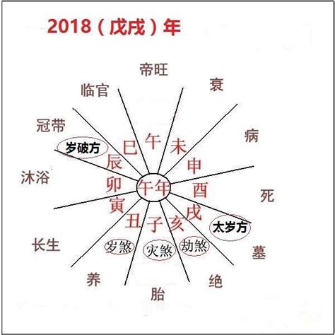 八字大運意思